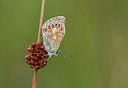 BUITEN BEELD Foto: 98963