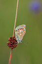 BUITEN BEELD Foto: 98964