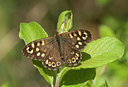 BUITEN BEELD Foto: 98966